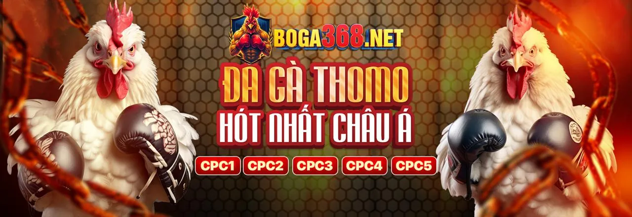 Sân chơi đá gà trực tuyến keonhacai3